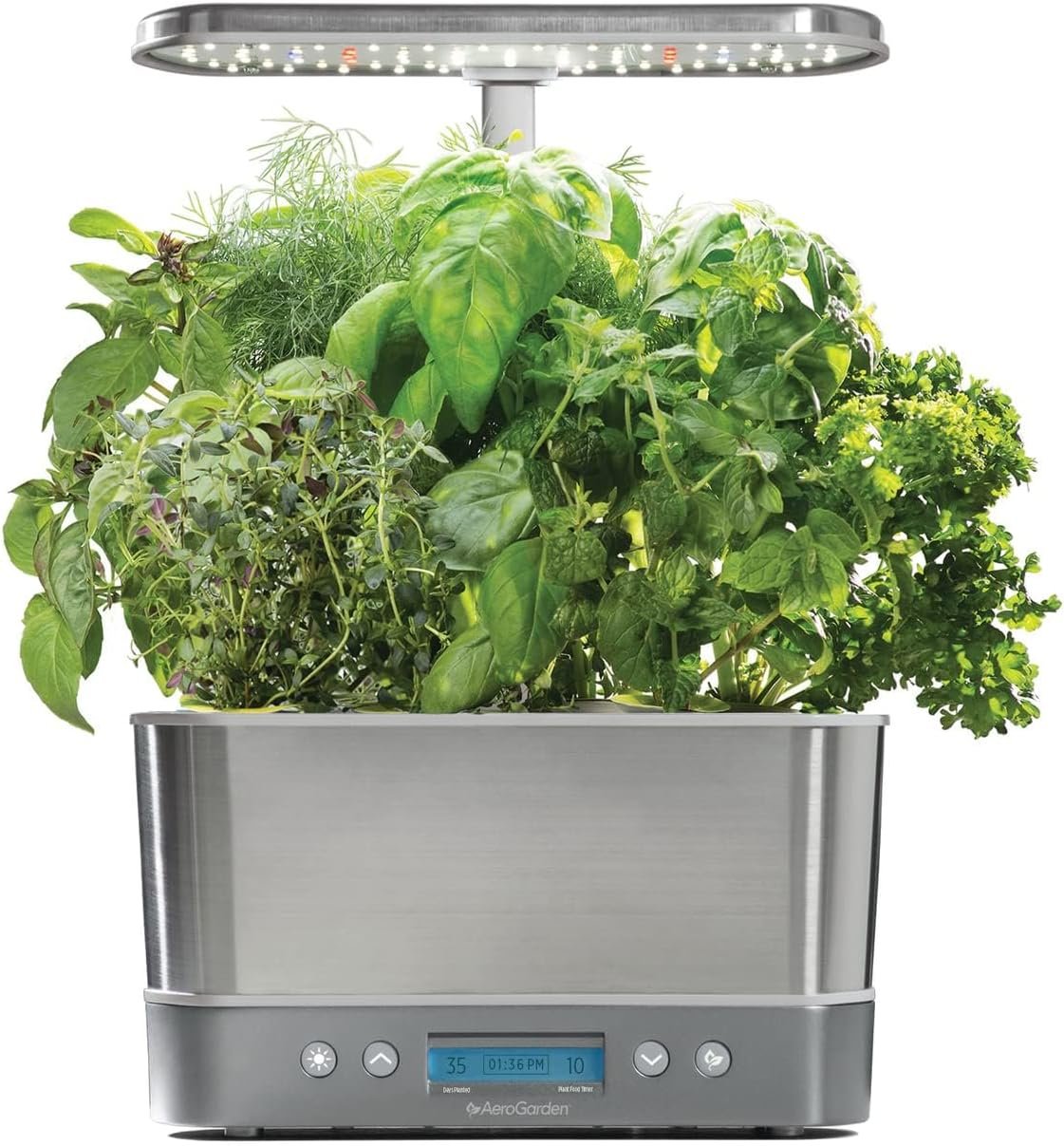 AeroGarden Harvest Elite — a compact pick among the best indoor herb gardens 2026